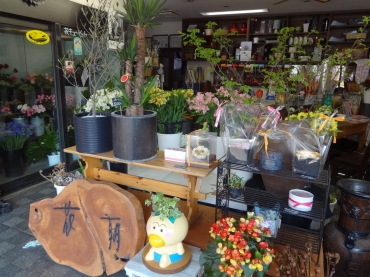 「花朝」　（岐阜県美濃市）の花屋店舗写真2
